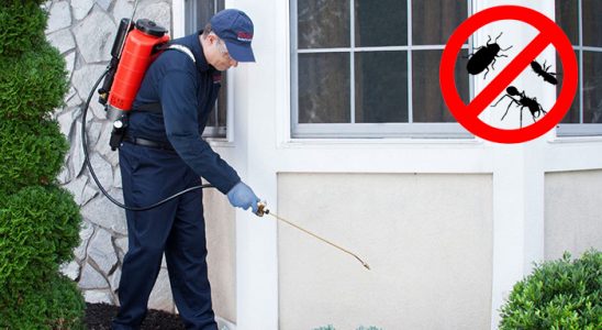 Doğanhisar Böcek ve Haşere İlaçlama böcek ilaçlama ve haşere kontrolü — ilaclama-tr.com